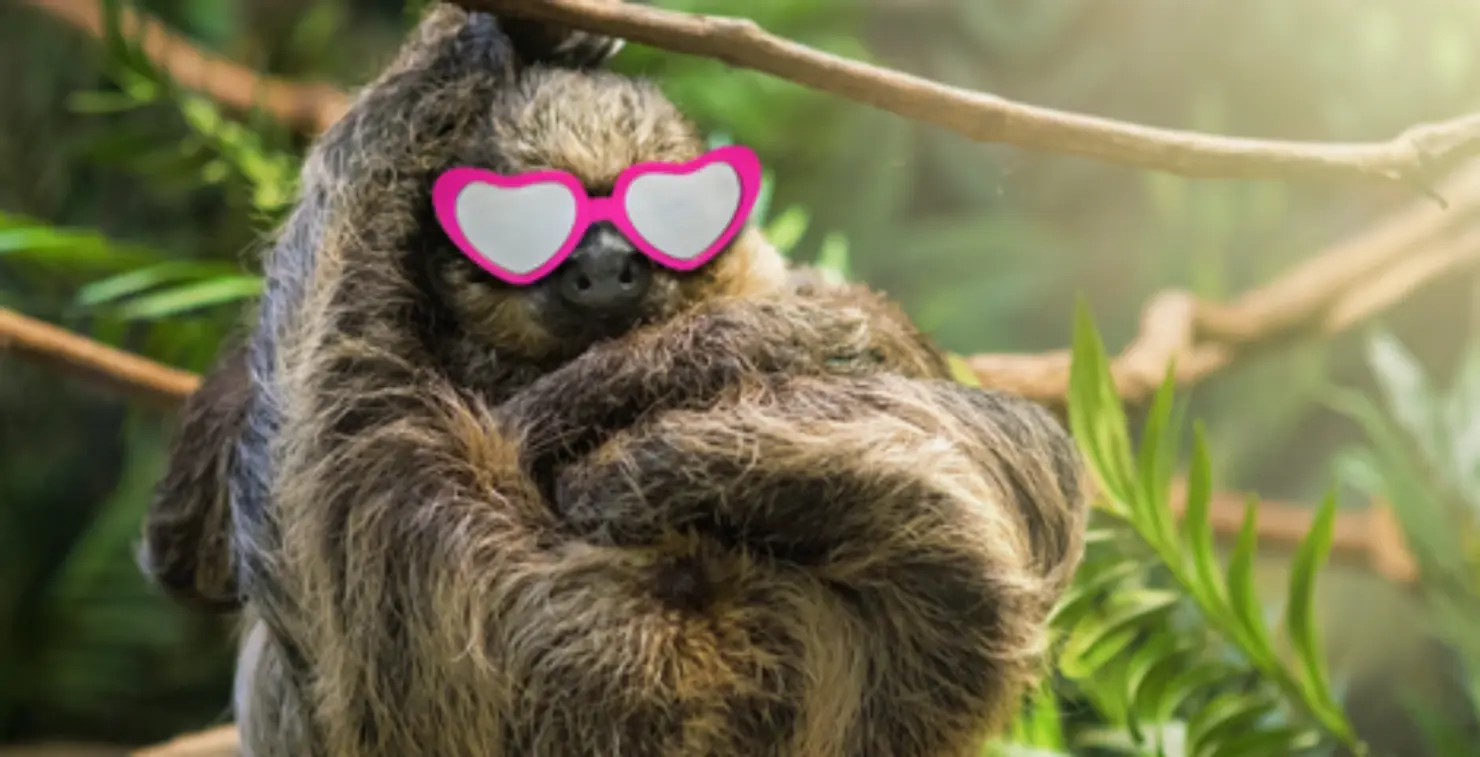 Slow Content: why less means more in 2026
