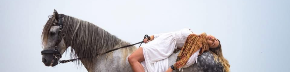 Historian's Journeys