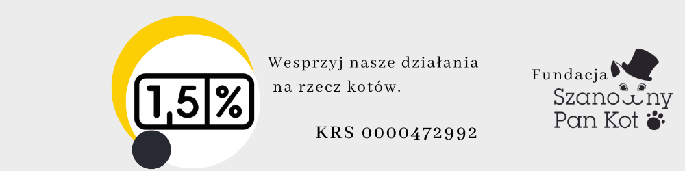 Ekipa Szanownych Kotów