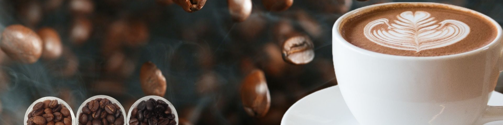 Projekt spółka z o.o.