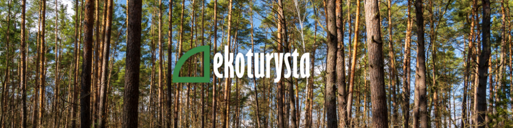 ekoturysta