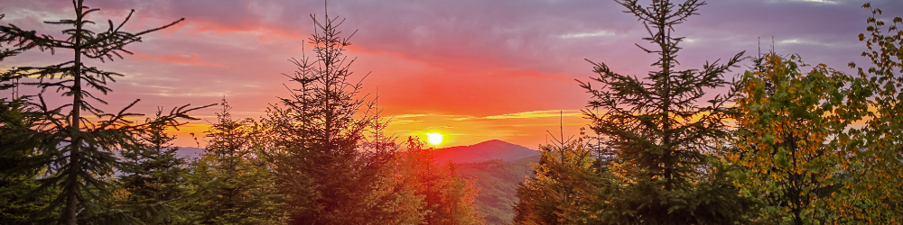 sid
