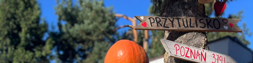 Basia i Rafał z Przytuliska