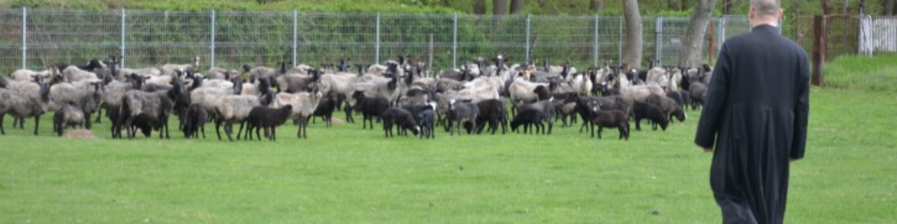 Padre Saczu - Ks. Łukasz Saczyński