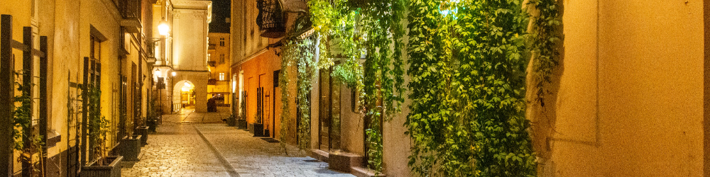 kaliszczasemmalowany