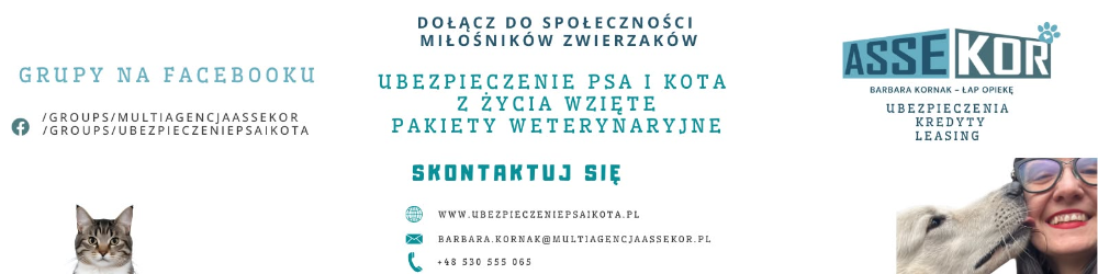 Assekor Barbara Kornak