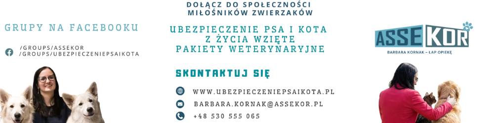 Assekor Barbara Kornak