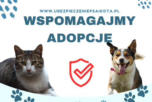 Zbiórka mająca na celu wspieranie adopcji