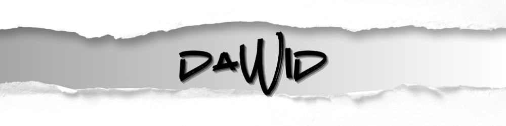 DawidGra