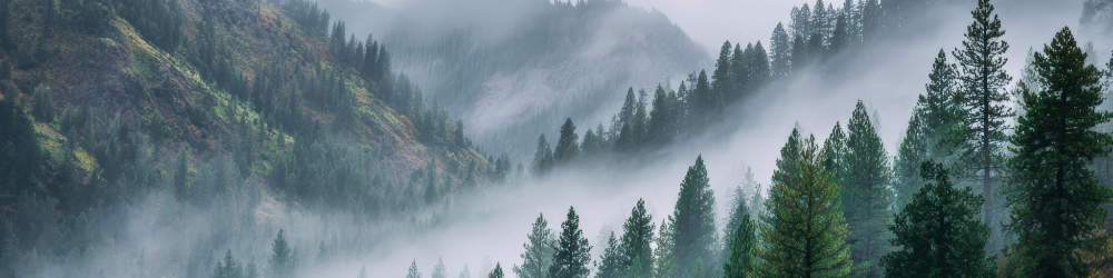 SlowBeskidy