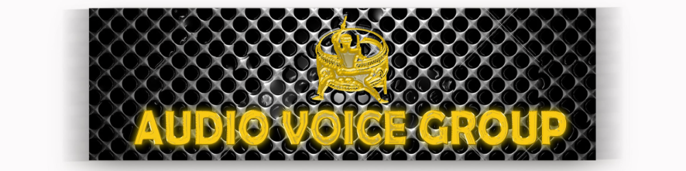 audiovoicegroup