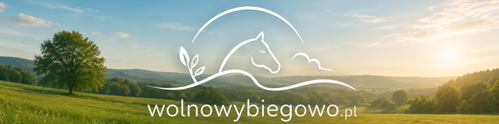 wolnowybiegowo.pl