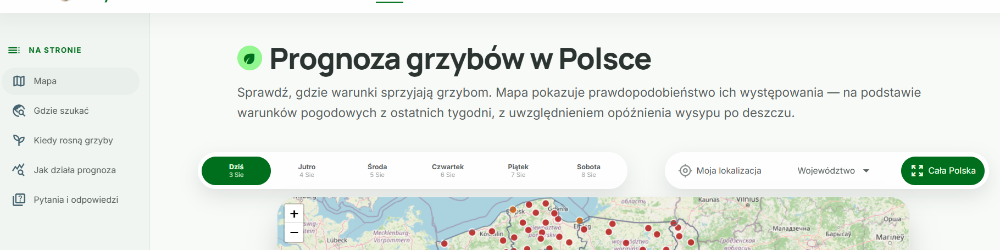grzyboradar