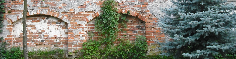 mandatownik.pl