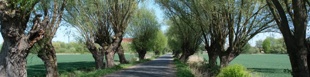 Żuławy i nie tylko