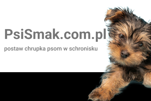 Postaw chrupka psom w schronisku