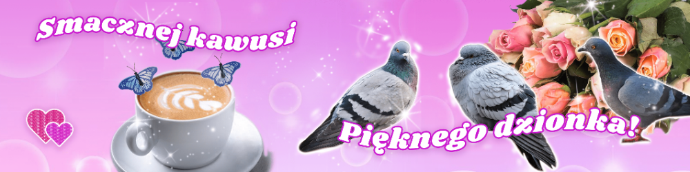 Aga Świętek