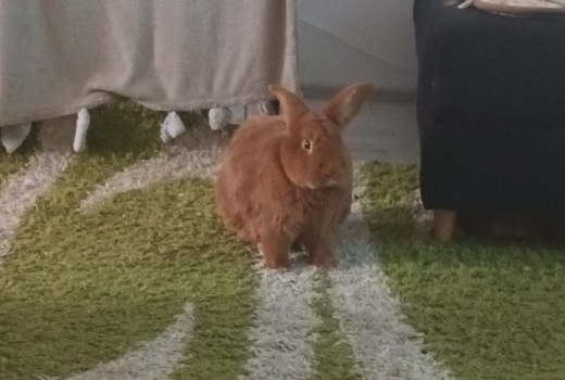Weekendowe pilne jedzenie dla nas 