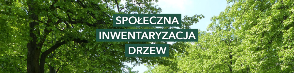 Mapa Drzew Łodzi