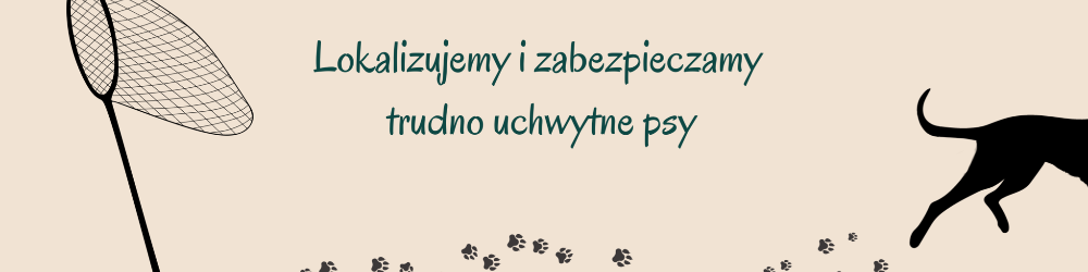 Śladem psa - Wrocław 