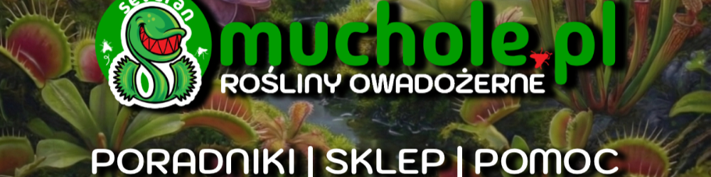 MucholePL